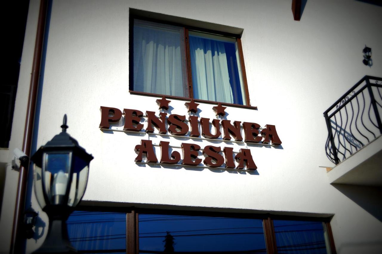 Pensiunea Alesia Pucioasa Dış mekan fotoğraf