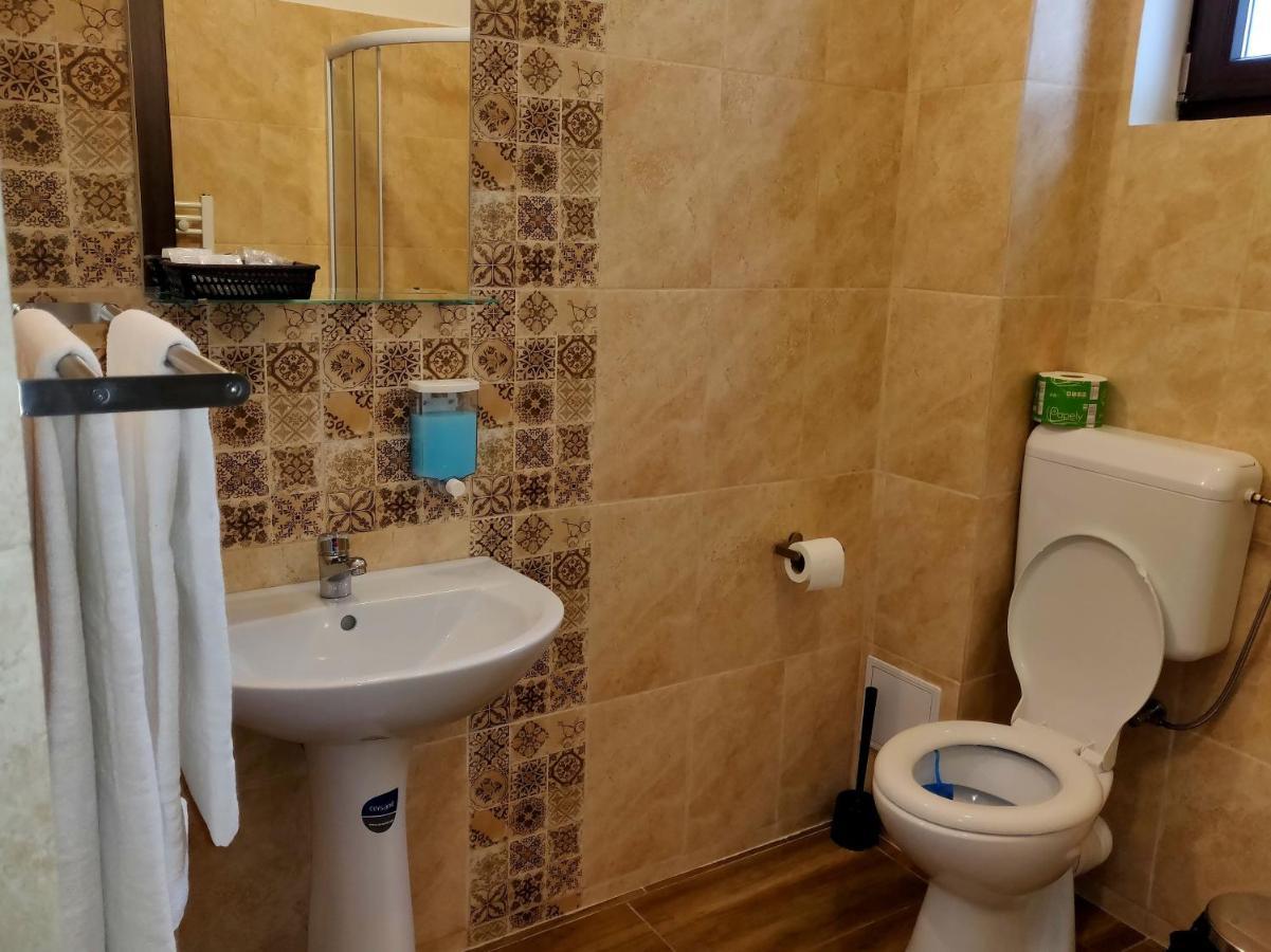 Pensiunea Alesia Pucioasa Dış mekan fotoğraf