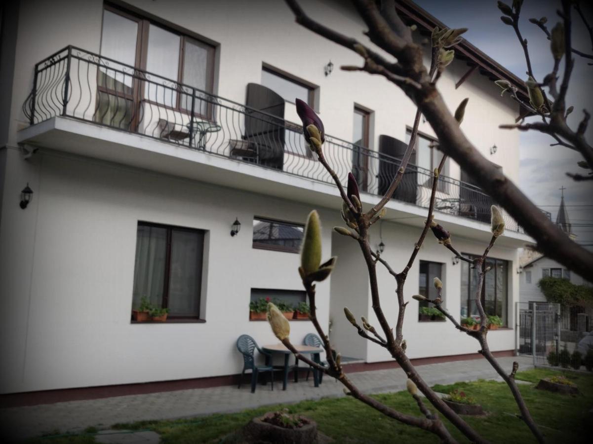 Pensiunea Alesia Pucioasa Dış mekan fotoğraf