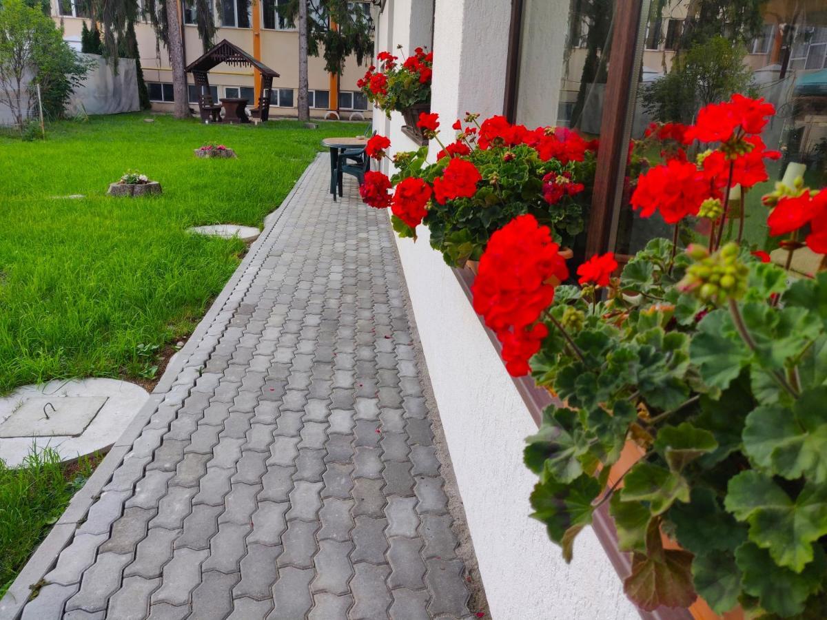 Pensiunea Alesia Pucioasa Dış mekan fotoğraf